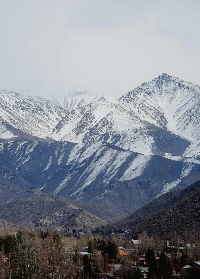 Viñedos de Mendoza